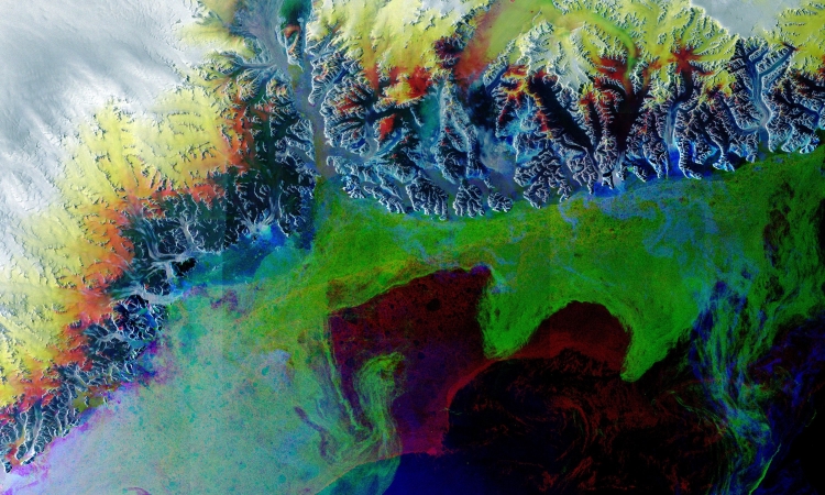 ESA - Immagine della settimana:  Ghiacciaio Kangerlussuaq (16 gennaio 2022)
