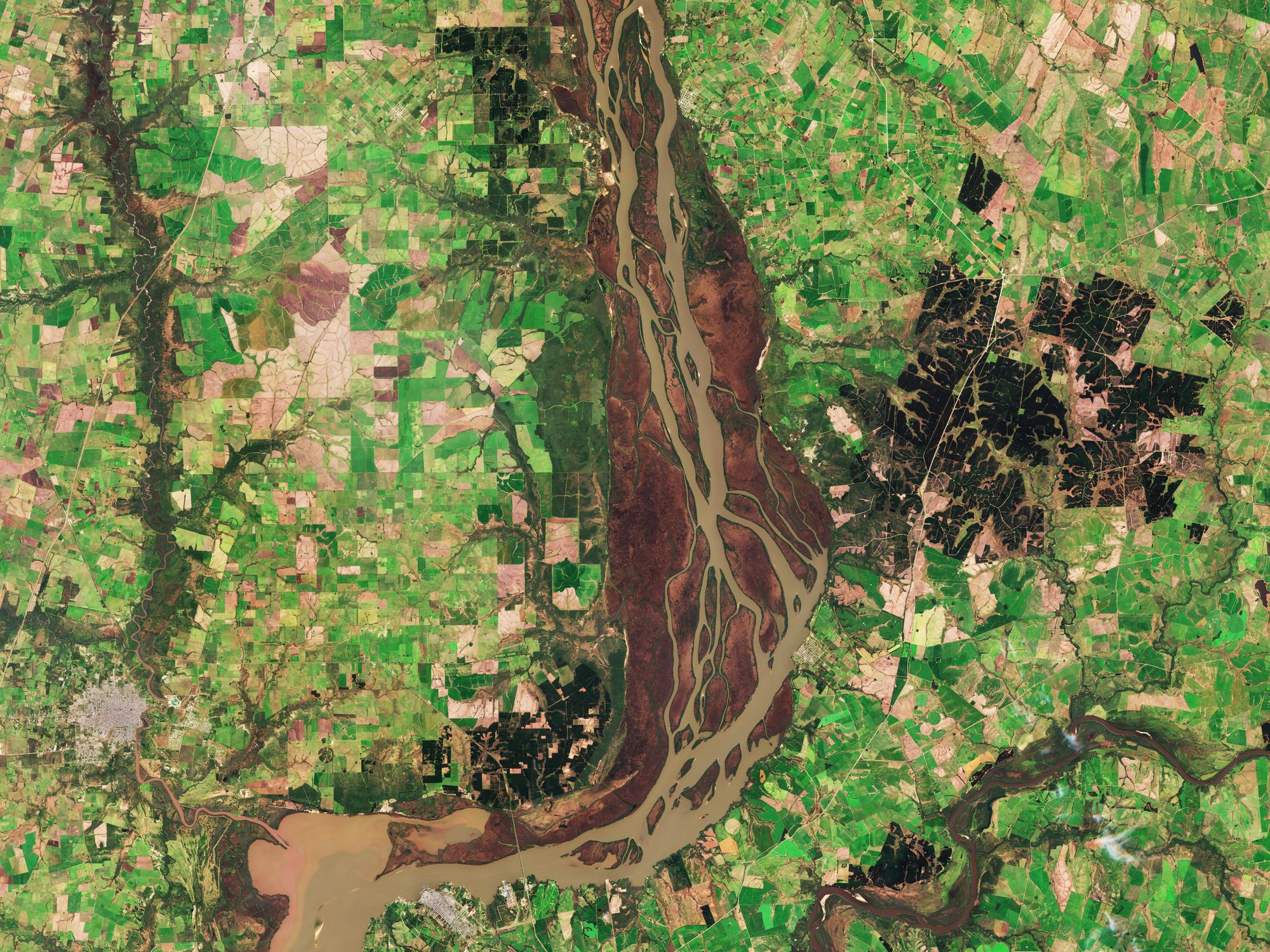 Zone umide del fiume Uruguay