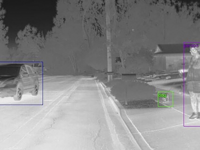 FLIR