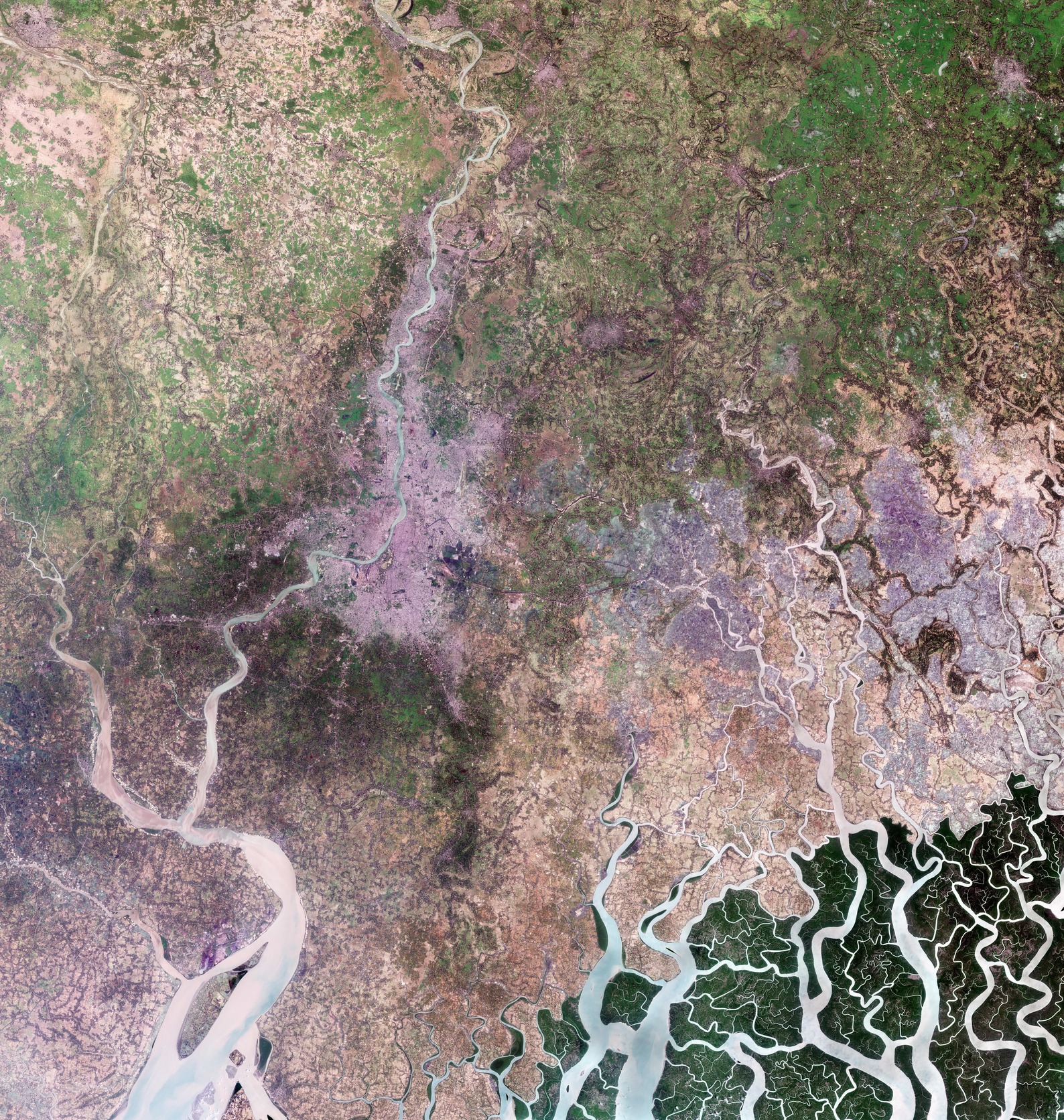 ESA - Immagine della settimana:  Kolkata, India (04 febbraio 2023)