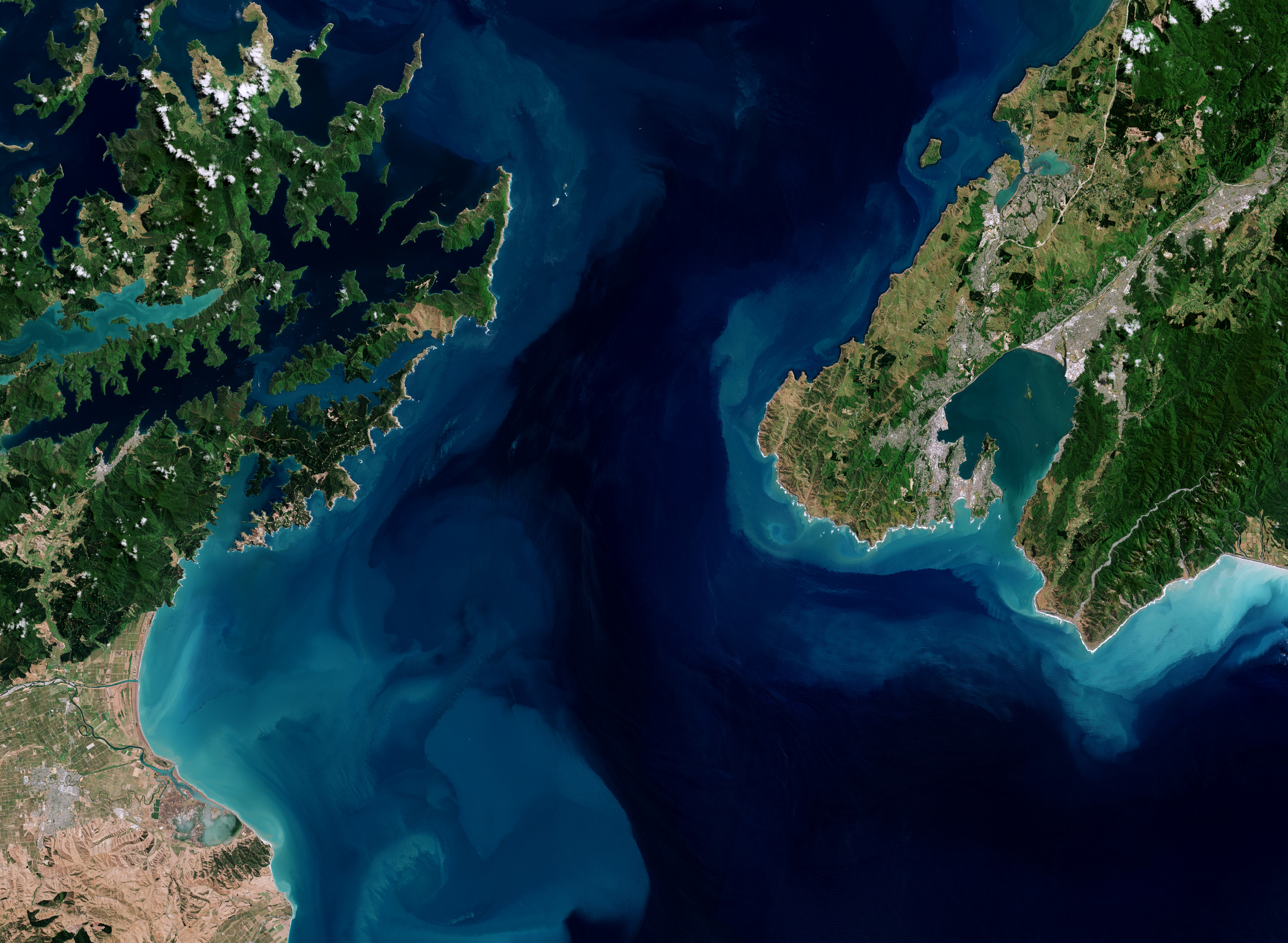 ESA - Immagine della settimana:  Stretto di Cook, Nuova Zelanda  (11 giugno 2023)