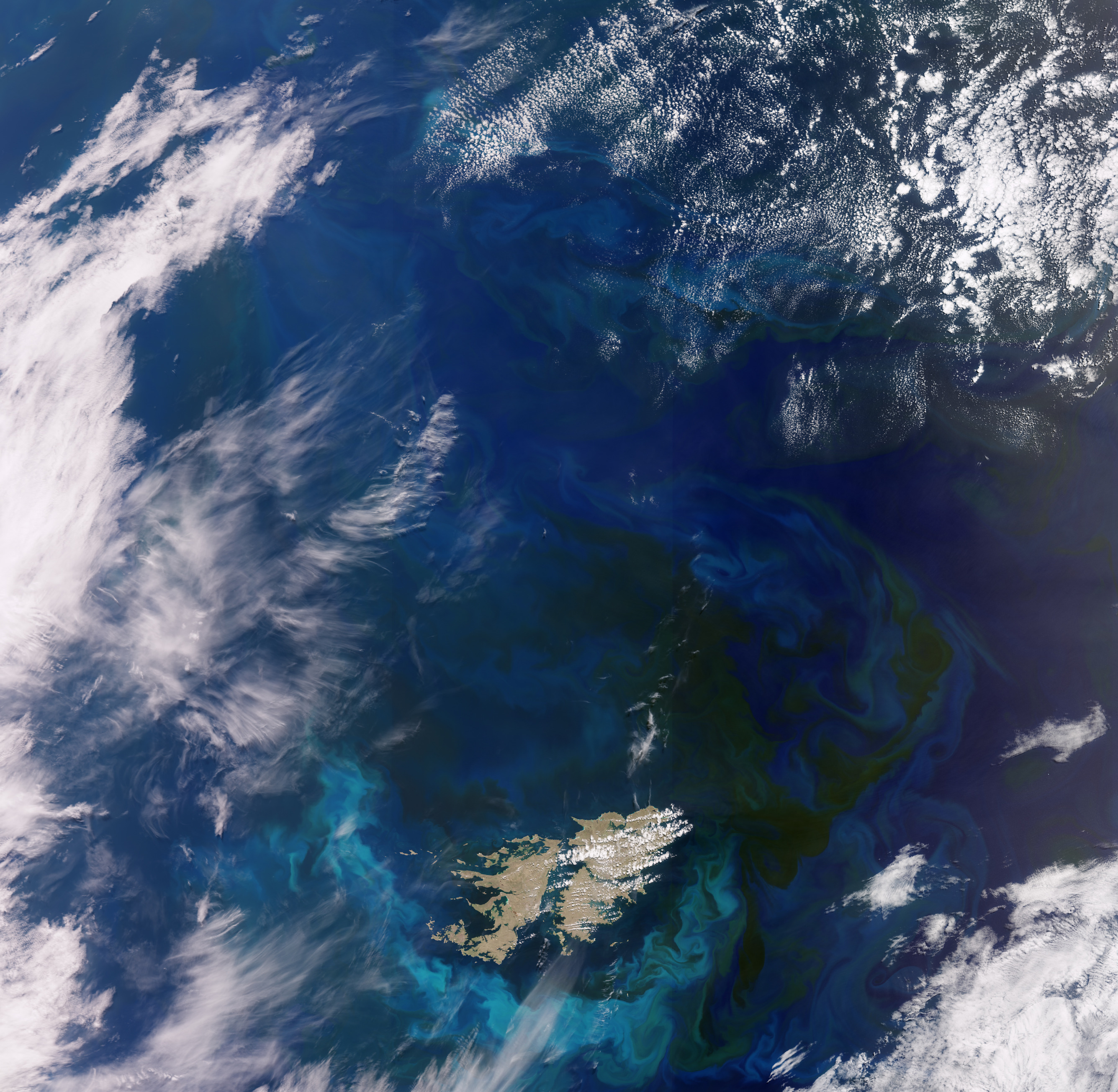ESA - Immagine della settimana:  Isole Falkland  (11 febbraio 2024)