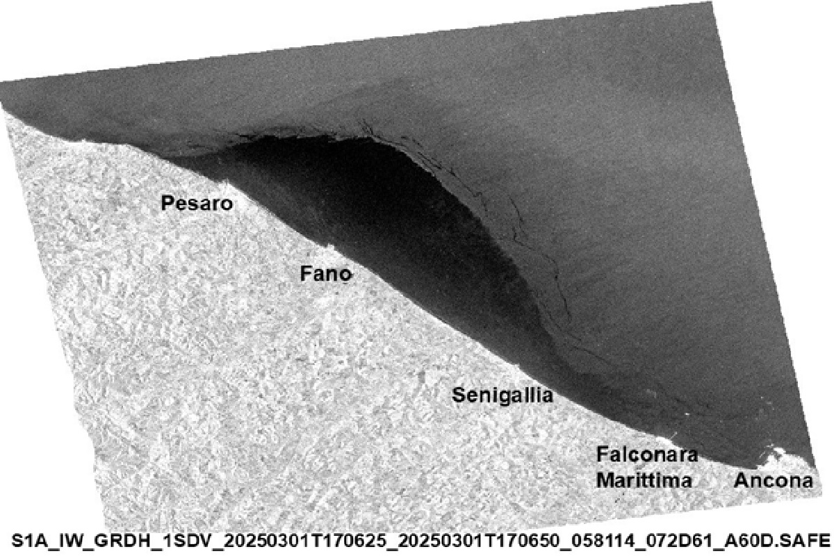 Olii in Mare: l’impatto di un’ipotesi di sversamento di 300 kmq tra Pesaro e Ancona e il ruolo del satellite Sentinel-1 come sistema di allerta