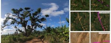 Nuovo dataset satellitare globale per la pianificazione umanitaria e il monitoraggio dei cambiamenti nelle infrastrutture stradali