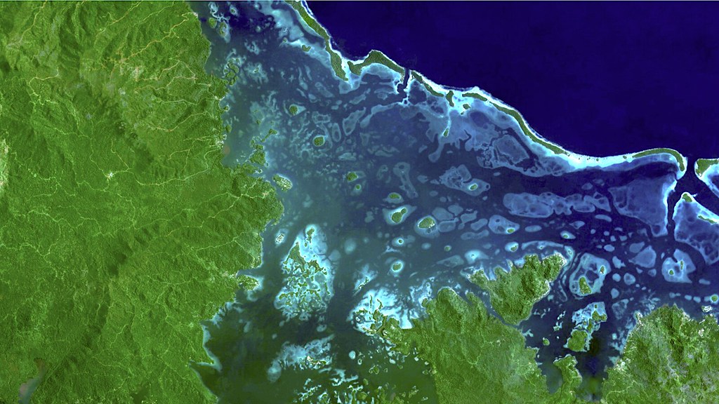 FAO’s SEPAL: Satellite Technology for Smarter Forest Monitoring