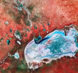 ESA - Immagine della settimana: La più grande salina della Namibia (12 ottobre 2026)