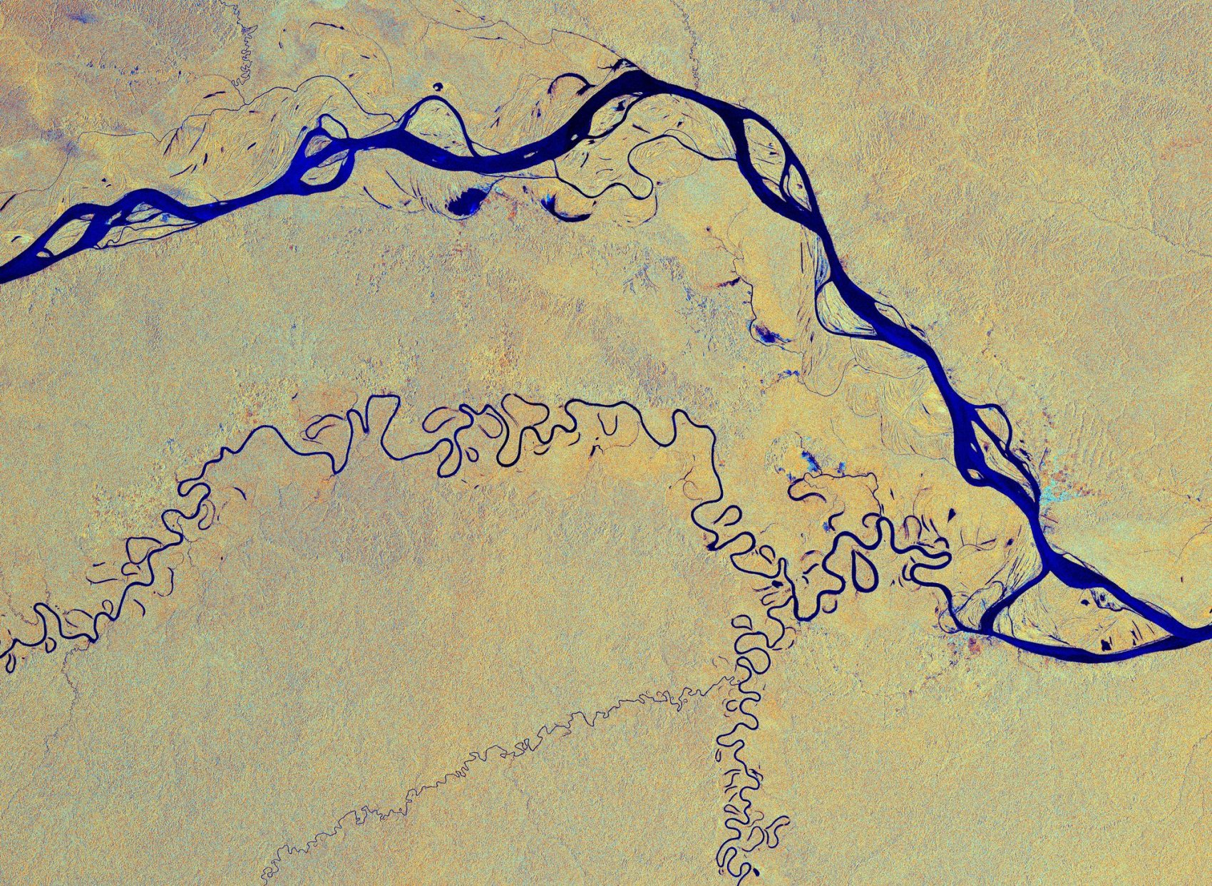 Rio delle Amazzoni (Foresta Amazzonica, America meridionale)