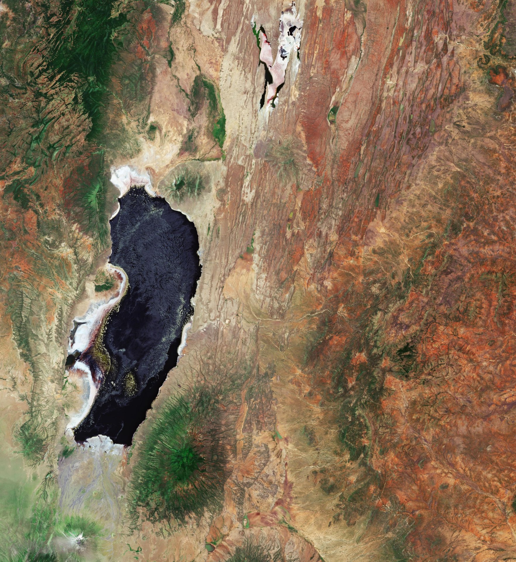 Il lago Natron (Tanzania)