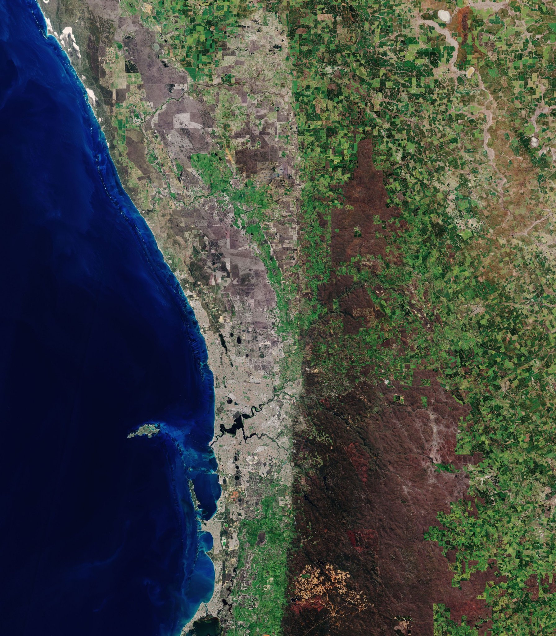 Perth (Australia)